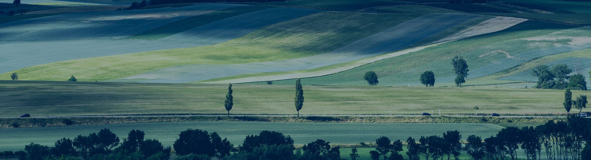 Green fields image